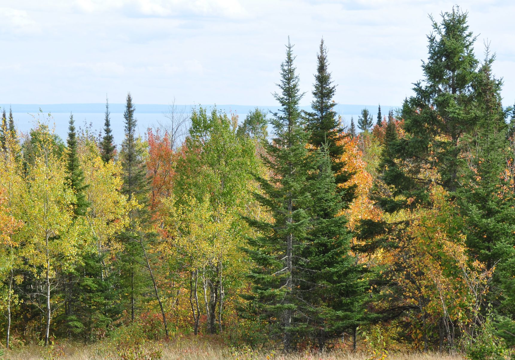 North Shore ridgeline